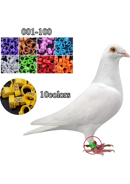Kırmızı Stil Ulticolor Güvercin Ayak Yüzük Kelime Küpe Li Dayanıklı Kuş Yüzük Yarış Güvercin Ayak Yüzük Kuş Araçları (Yurt Dışından)