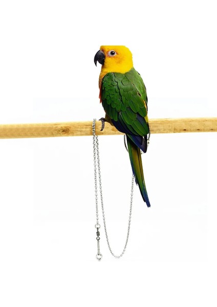 Kalın Zincir No. 8rin Tarzı Kuş Papağan Ayak Zinciri Paslanmaz Çelik Ayak Bileği Ayak Halkası Stand Zinciri Açık Uçan Eğitim Starling Güvercin Kuş Aksesuarları (Yurt Dışından)