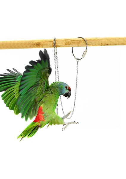 Kalın Zincir No. 8rin Tarzı Kuş Papağan Ayak Zinciri Paslanmaz Çelik Ayak Bileği Ayak Halkası Stand Zinciri Açık Uçan Eğitim Starling Güvercin Kuş Aksesuarları (Yurt Dışından)
