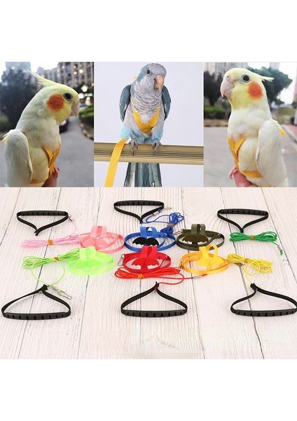 Pembe Tarzı M Beden Pet Kuş Malzemeleri Güvercin Papağan Uçuş Halatı Kayış Dışarı Çıkmak Için Kuş Çekiş Halatı Elastik Halat Serbest Bırakma Halatı Kuş Oyuncak (Yurt Dışından)