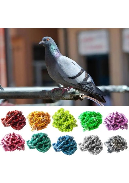 Çim Yeşili Stili Ulticolor Güvercin Yüzükleri Tanımlamak Bacak Ayak Halkaları Eğitim Aracı Alüminyum Dayanıklı Kuş Halkası Yarış Kuş Araçları (Yurt Dışından) fırsatları