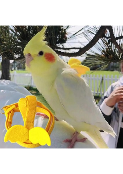 Pembe Tarzı Xs Beden Hafif Renkli Parakeet Papağan Koşum Çekme Halatı Hafif Papağan Yelek Pet Için Cilt Dostu (Yurt Dışından)