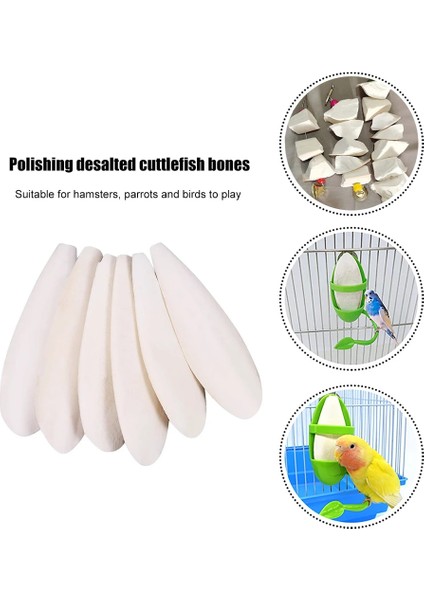 12 Ila 14 cm Stili Mürekkep Balığı Kemik Kuş Oyuncaklar Pet Papağan Çiğneme Oyuncaklar Asılı Çan Çiğneme Kuş Yemi Kalsiyum Toplama Taş Muhabbet Kuşu Papağan Molars Taş (Yurt Dışından) modelleri