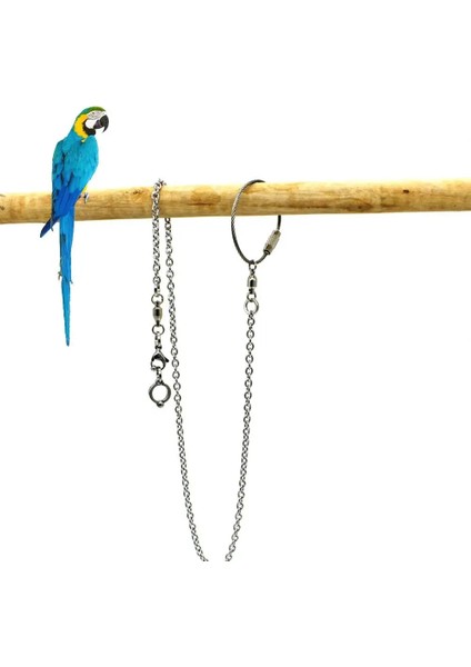 No.8 Tarzı Varış Papağan Paslanmaz Çelik Ayak Halka Zinciri Lovebird Cockatiel Parakeet Kuş Standı Halhal Dropship Için Açılış Etkinlik Halkası (Yurt Dışından) fiyatları