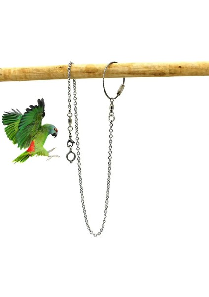 No.8 Tarzı Varış Papağan Paslanmaz Çelik Ayak Halka Zinciri Lovebird Cockatiel Parakeet Kuş Standı Halhal Dropship Için Açılış Etkinlik Halkası (Yurt Dışından) modelleri