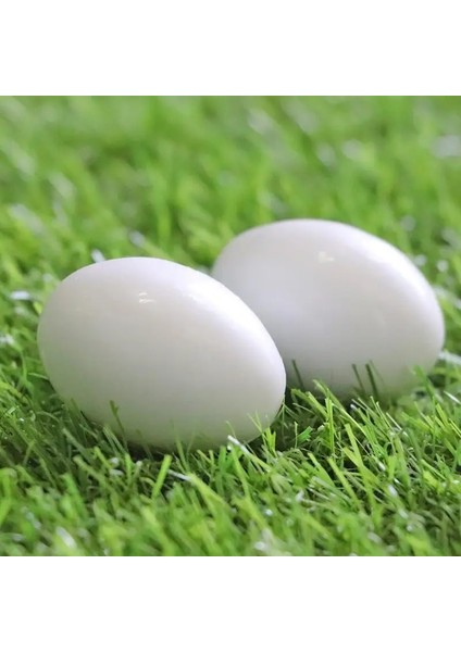 Beyaz Stil 10 Parça Geon Sahte Yumurtalar Plastik Beyaz Katı Güvercin Kuş Sahte Yumurta Kuş Kuluçka Malzemeleri Çiftçilik Aletleri Yuva Kuluçkalık Yumurtalar (Yurt Dışından) fiyatları