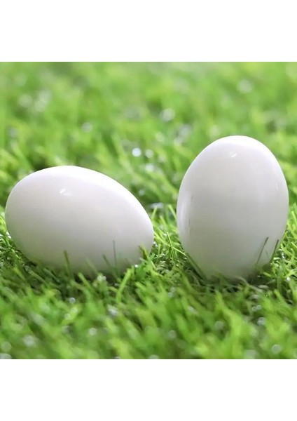 Beyaz Stil 10 Parça Geon Sahte Yumurtalar Plastik Beyaz Katı Güvercin Kuş Sahte Yumurta Kuş Kuluçka Malzemeleri Çiftçilik Aletleri Yuva Kuluçkalık Yumurtalar (Yurt Dışından) modelleri