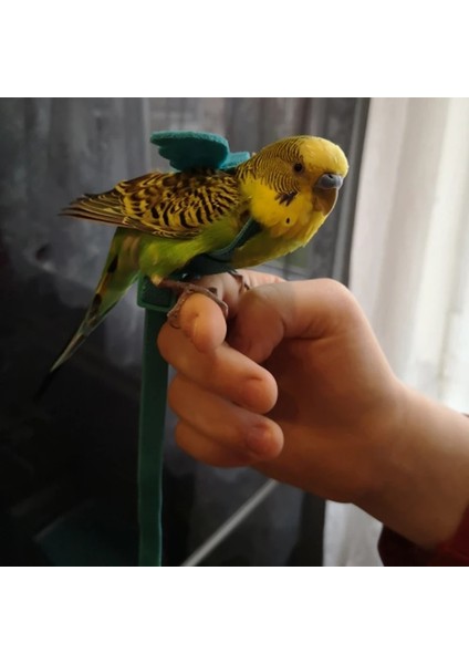 Yeşil Stil No.4 Boyutu Küçük Orta Kuşlar Için Pet Papağan Koşum Açık Elastikiyet Uçan Tasma Papağan Budgie Lovebird Güvercinler Aksesuarları Açar (Yurt Dışından) fırsatları