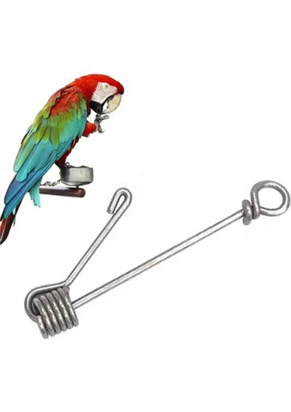 7.5cm Tarzı 1 Adet Kuş Bacak Tokası Kuş Bacak Halkası Paslanmaz Çelik Papağan Bacak Halkası Kuş Malzemeleri Açılış Halkası Açık Hava Etkinliği Halhal Yüzük (Yurt Dışından)
