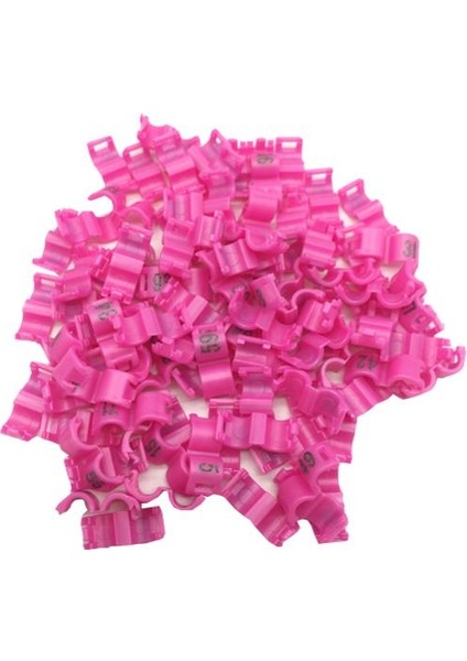 Pembe Stil 4,5 mm 50 Takım Iç Kuş Güvercin Güvercin Papağan Bacak Yüzükler Küçük Kuşlar Ayak Yüzükler Kuş Klip Yüzük (Yurt Dışından)