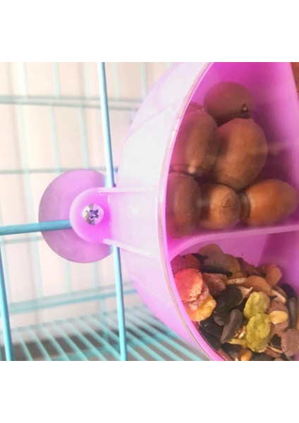 Mor Tarzı 1 Adet Döndür Pet Papağan Oyuncaklar Tekerlekler Bite Çiğneme Kuşlar Yiyecek Kutusu Kafes Besleyici Vogel Speelgoed Kuşlar Aksesuarları (Yurt Dışından)