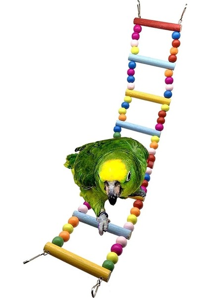 1 Yuvarlak Yüzük Stili Ebaokuup 1- Kuş Kafesi Çiğneme Oyuncakları Asılı Salıncak Papağanlar Oyuncak Gökkuşağı Ahşap Merdiven Oyuncak Parakeets, Cockatiels, Lovebird (Yurt Dışından)