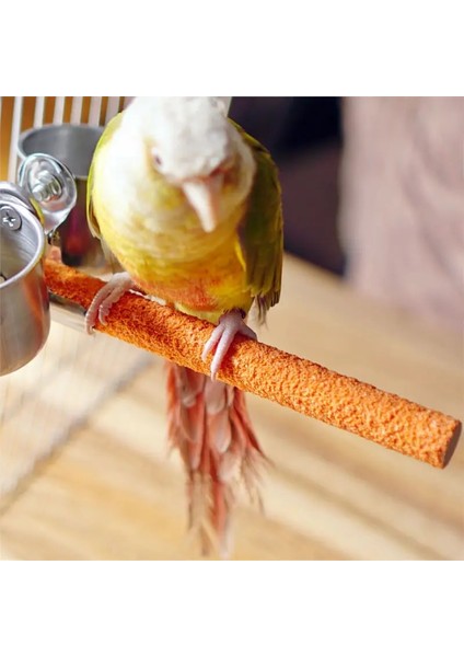 1pc 2X20CM Tarzı Kuş Kafesi Papağan Tünemiş Standı Platformu Çiğneme Oyuncak Pençe Taşlama Temiz Oyuncaklar Calopsita Perileri Büyük Kuşlar Için Oyuncaklar Parakeet Malzemeleri (Yurt Dışından) modelleri