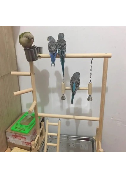 Gösteri Tarzı Olarak Ahşap Papağan Playstand Çift Katmanlı Kuş Oyun Standı Papağan Bahçesi Ahşap Levrek Spor Oyun Parkı Merdiven Besleyici Bardak Oyuncaklar ile (Yurt Dışından) modelleri