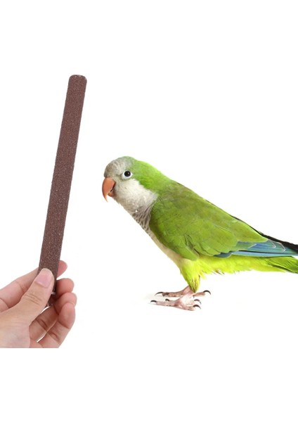 1 Adet 1.5X20CM Tarzı Pet Kuş Çiğneme Oyuncaklar Papağan Tünemiş Standı Platform Kafes Oyuncak Pençe Taşlama Temiz Oyuncaklar Papağan Isırıkları Için Parakeet Pet Ürünleri cm (Yurt Dışından) fırsatları