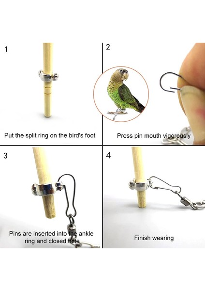 M Tarzı Arrot Bacak Halkası Ayak Bileği Ayak Zinciri Kuş Halkası Açık Uçan Eğitim Etkinliği Açılış Güvercin Malzemeleri Için Aksesuarlar Standı (Yurt Dışından) modelleri