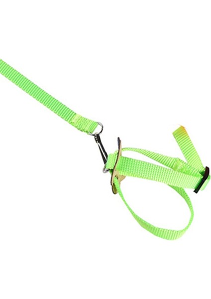 No.2 Tarzı 1.2m Papağan Tren Tasma 1cm Geniş Ayarlanabilir Polyester Demeti Kuş Küçük Pet Ürünleri Için Anti Bite Halat (Yurt Dışından) indirimleri