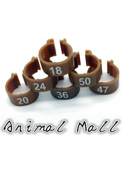 Kahverengi Tarzı S Beden Kuş Malzemeleri Pet Kuşlar Taşıyıcı Güvercin Papağan 10 Renk Dijital Ayak Halkası Süngü Işaretleme Halkası (Yurt Dışından)