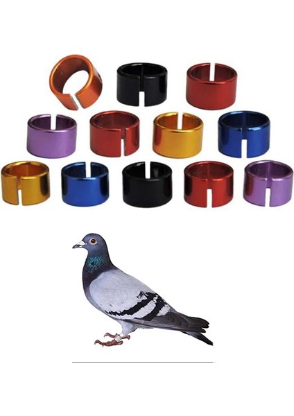Rd Stili Pet Kuş Halkaları Alüminyum Kuş Halkaları Güvercin Bacak Bantları Açık Havada Uçan Eğitim Tanımlama Ayak Halkaları 6 Renk (Yurt Dışından) fiyatları