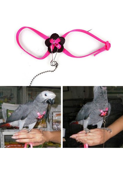 Pembe Tarzı Pet Kurşun Tasma Papağan Koşum Afrika Gri Ayarlanabilir Açık Uçan Anti Bite Kuş Koşum Tasma Eğitim Çekiş Kayışı (Yurt Dışından) fiyatları