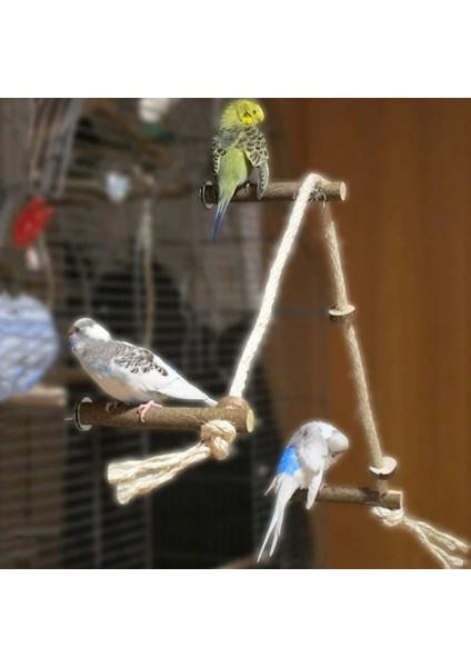 2021NEW Pet Kuş Papağan Papağan Standı Çerçeve Parakeet Kafes Merdiven Tırmanma Hamak Kuş Oyuncaklar Papağan Oyuncakları (Yurt Dışından) fiyatları