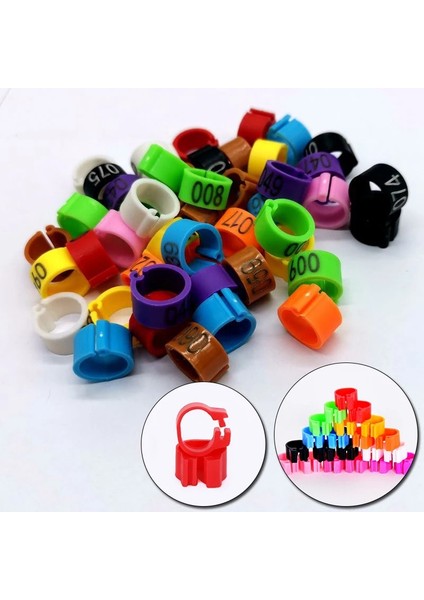 F Stili Kuş Ayak Yüzük Iç Çap 8mm Genişlik 7mm Plastik Klips Halka Güvercin Güvercin Bıldırcın Ayak Halkası Çiftlik Hayvanı Taşıyıcı (Yurt Dışından) modelleri