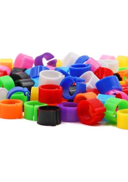 Beyaz Stil Kuş Güvercin Ayak Halkaları 8mm Süngü Tanımlama Halkası Açılış Güvercin Halkası Renkli Güvercin Ayak Halkası Kuş Güvercin Malzemeleri (Yurt Dışından) fırsatları