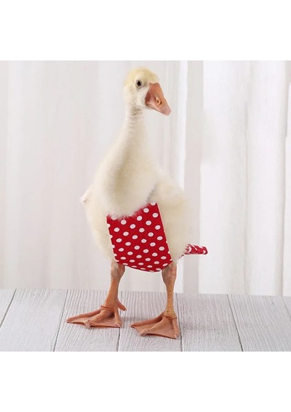Sarı Stil L Beden Papyon ile 1 Adet Papağan Kuş Güvercin Bezi Cockatiel Güvercinler Küçük Orta Büyük Pet Kuşlar Uçuş Takım Elbise (Yurt Dışından)