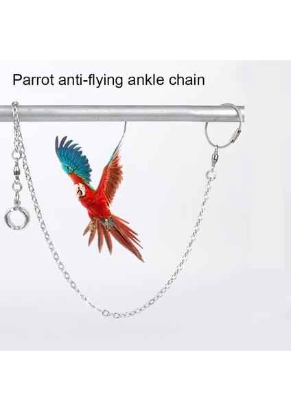 No.15 Tarzı Pet Kuş Güvercin Papağan Bacak Halkası Paslanmaz Çelik Zincir Kuş Malzemeleri Papağan Anti-Uçan Çekiş Zinciri Ayak Halkası Aksesuarları (Yurt Dışından) fiyatları