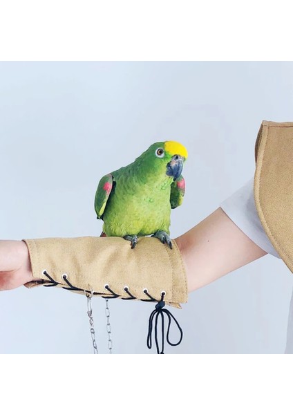 Mavi Stil 1 Stil Pet Papağan Şal Kol Koruyucu Çok Amaçlı Pet Omuz Koruyucu Kol Kılıfı Çizilmez Omuz Koruyucu Kol Koruyucu Kapak Sahne Için (Yurt Dışından) fırsatları