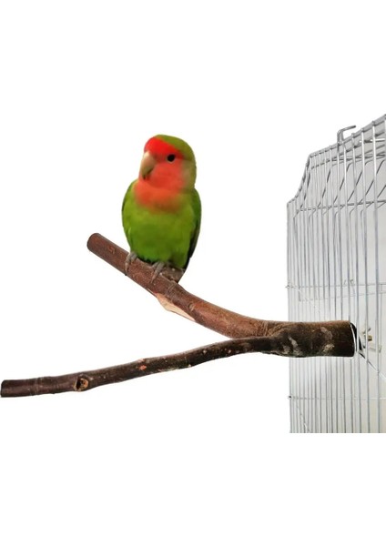 30CM Tarzı Et Papağan Kuş Standı Levrek Doğal Ahşap Kütük Kuş Ayakta Çubuk Papağan Bite Pençe Taşlama Oyuncak Kuş Kafesi Aksesuarları (Yurt Dışından)