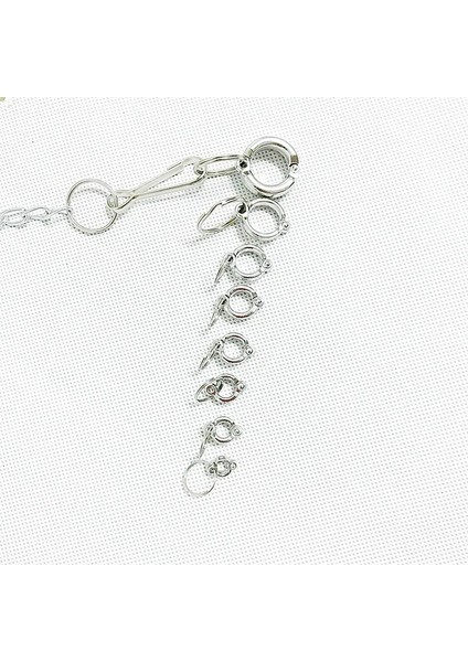 Beyaz Stil 8mm Et Papağan Bacak Halkası Alaşım Açık Uçan Eğitim Pet Kuşlar Güvercin Ayak Halkaları Davranış Yardımcıları Kuş Malzemeleri Evcil Hayvan Ürünleri (Yurt Dışından) fırsatları