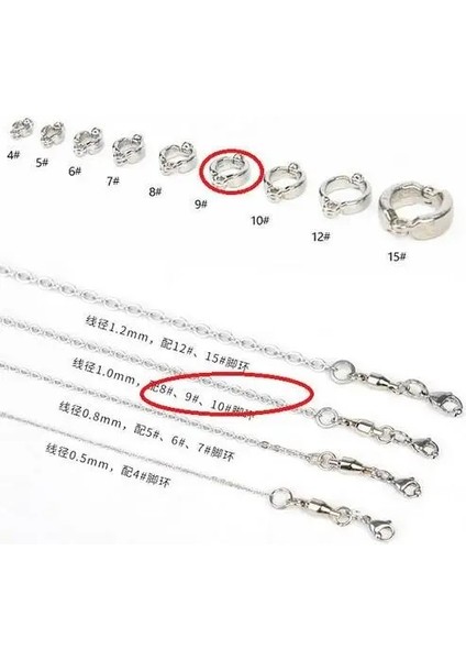 No.6 Tarzı Pet Kuş Güvercin Papağan Bacak Halkası Paslanmaz Çelik Zincir Kuş Malzemeleri Papağan Anti-Uçan Çekiş Zinciri Ayak Halkası Aksesuarları (Yurt Dışından)