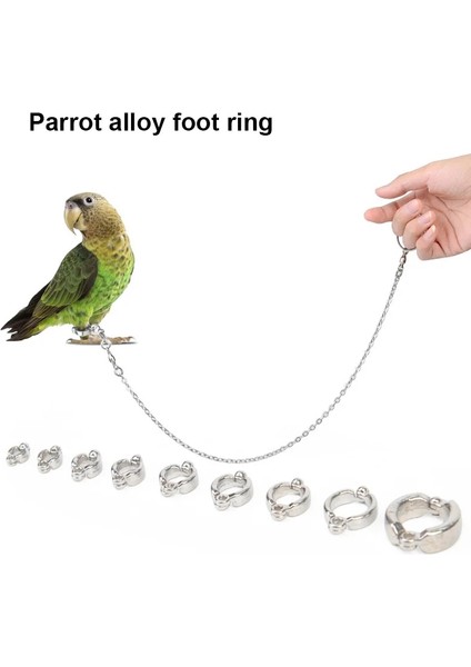 No.11 Stili 1 Takım Pet Papağan Bacak Halkası Kuş Halkası Açık Uçan Eğitim Etkinliği Açılış Ayak Halkaları Aksesuarları Güvercin Eğitim Malzemeleri (Yurt Dışından) fiyatları