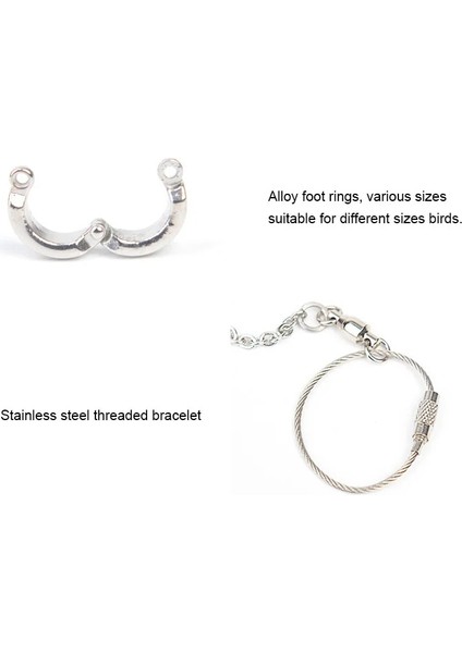 No.11 Stili 1 Takım Pet Papağan Bacak Halkası Kuş Halkası Açık Uçan Eğitim Etkinliği Açılış Ayak Halkaları Aksesuarları Güvercin Eğitim Malzemeleri (Yurt Dışından) fırsatları