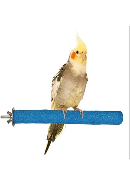 Açık Gri Tarzı 2019 Yeni Arrivialm Pet Papağan Ham Ahşap Çatal Ağaç Dalı Standı Raf Oyuncak Hamster Şube Kuş Kafesi Için Tünemiş (Yurt Dışından)