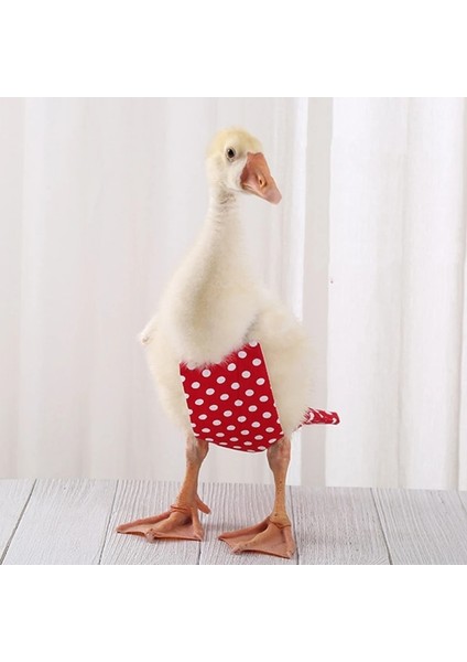 Kızıl Tarzı M Beden Sevimli Yay Tulum Cole Duck Uçuş Takım Elbise Pet Kuş Bezi Küçük Hayvanlar Giysileri Üniforma Doğum Günü Partisi Pet Gösterisi Için Cosplay Fotoğraf (Yurt Dışından)