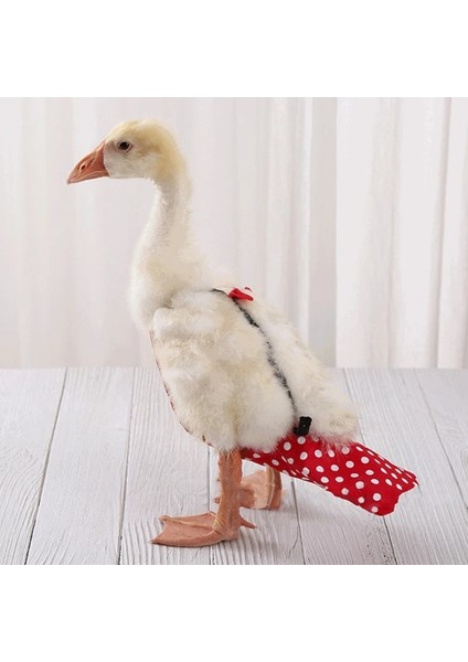 Kızıl Tarzı M Beden Sevimli Yay Tulum Cole Duck Uçuş Takım Elbise Pet Kuş Bezi Küçük Hayvanlar Giysileri Üniforma Doğum Günü Partisi Pet Gösterisi Için Cosplay Fotoğraf (Yurt Dışından)