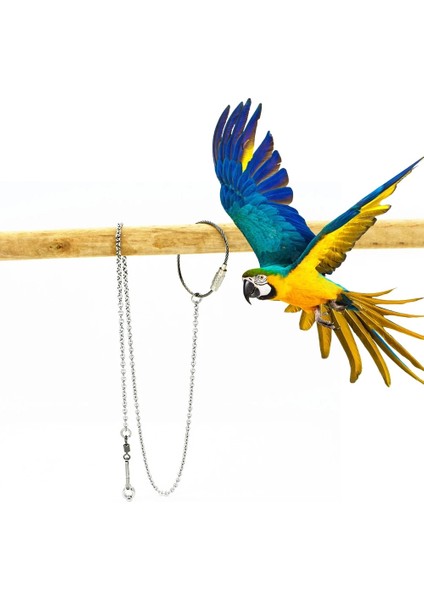 No.7 Tarzı Pet Kuş Güvercin Papağan Bacak Halka Zinciri Açık Uçan Eğitim Anti-Fly Anti-Kayıp Aktivite Açılış Ayak Halkası Kuş Aksesuarları (Yurt Dışından)