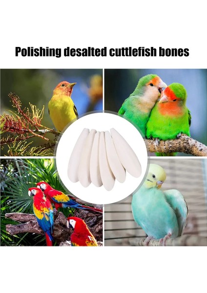 7-10CM Tarzı Çiğneme Kuş Yiyecek Seçimi Taş Kuş Mürekkep Kemiği Oyuncaklar Mürekkepbalığı Kemikleri Asılı Çan Muhabbet Kuşu Papağan Azı Dişleri Kalsiyum Takviyesi (Yurt Dışından) modelleri