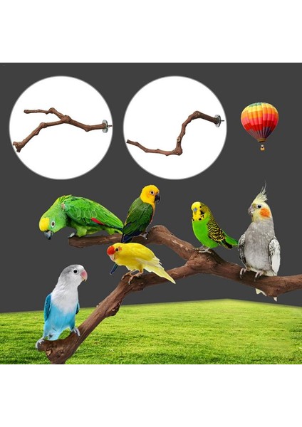 C Stili Pet Papağan Kuş Ayakta Sopa Yabani Üzüm Ahşap Kutup Kuş Papağan Parakeet Tünemişler Bite Pençe Taşlama Oyuncak Kuş Kafesi Aksesuarları (Yurt Dışından) modelleri