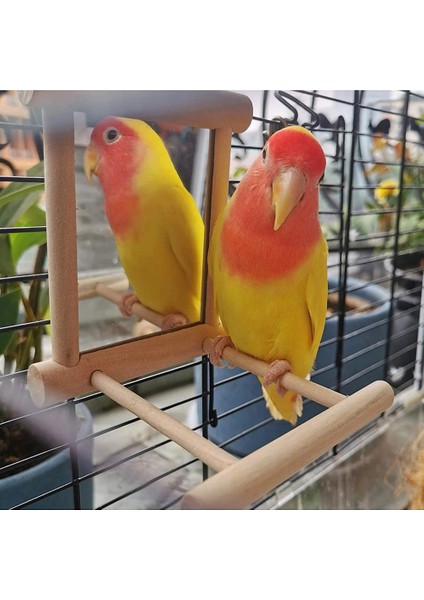 Shanhua Shop B Tarzı 1 Adet Pet Kuş Ayna Ahşap Oyun Oyuncak Levrek ile Papağan Muhabbet Kuşları Parakeet Cockatiel Conure Finch Lovebird Kuşlar Aksesuarlar (Yurt Dışından)