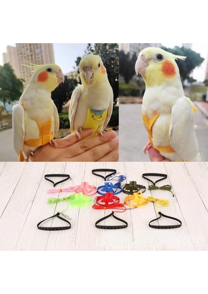 Pembe Tarzı Xs Beden Pet Kuş Malzemeleri Güvercin Papağan Uçuş Halatı Kayış Dışarı Çıkmak Için Kuş Çekiş Halatı Elastik Halat Serbest Bırakma Halatı Kuş Oyuncak (Yurt Dışından) fiyatları