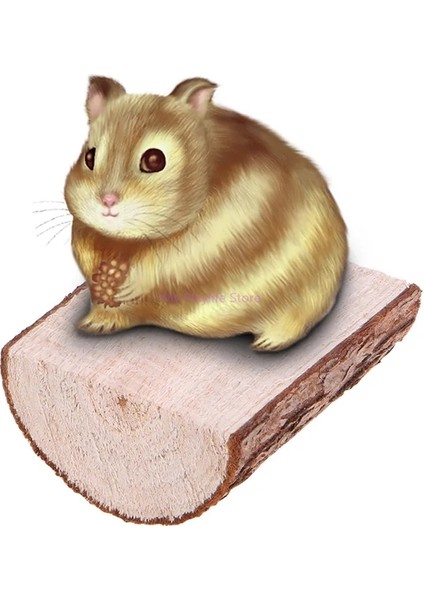 6X6X2.8CM Tarzı Papağan Kuş Levrek Oyuncak Ahşap Stand Tutucu Platformu Sincap Lla Hamster Raf Kafesi Oyuncak Aksesuarları Kuşlar Malzemeleri C42 (Yurt Dışından)
