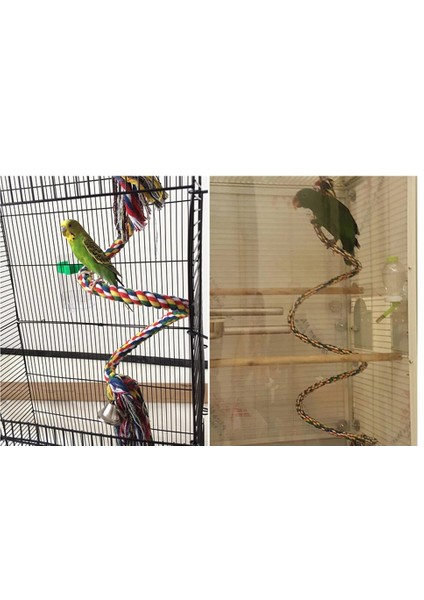 Resim Gösterisi Stili Olarak Pet Kuşlar Papağan Oyuncaklar Kakadu Parakeet Kuş Salıncak Budgie Pamuk Tırmanma Halatı Pet Oynama Oyuncak Için Ayakta Çubuk (Yurt Dışından) modelleri