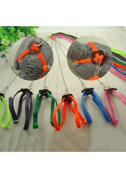 Rastgele Stil Let's Pet Renkli Papağan Kuş Tasma Açık Ayarlanabilir Koşum Eğitim Halatı Uçan Çapraz Bant Kuş Oyuncakları (Yurt Dışından) fiyatları