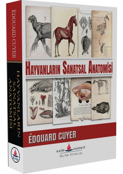 Hayvanların Sanatsal Anatomisi