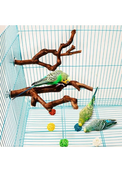 Çatallanma Stili Pet Papağan Kuş Ayakta Sopa Yabani Üzüm Ahşap Kutup Kuş Papağan Parakeet Tünemişler Bite Pençe Taşlama Oyuncak Kuş Kafesi Aksesuarları (Yurt Dışından) fırsatları