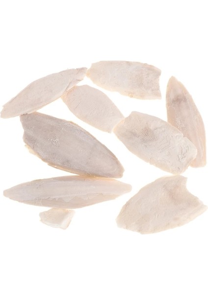 2S90790 Stili 1 Torba Mürekkepbalığı Mürekkepbalığı Sepya Kemik Mürekkep Balığı Kuş Maması Kalsiyum Pickstone Pet Kuş Aksesuarları (Yurt Dışından)
