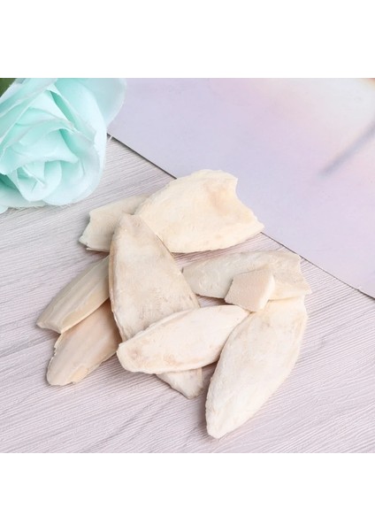 2S90790 Stili 1 Torba Mürekkepbalığı Mürekkepbalığı Sepya Kemik Mürekkep Balığı Kuş Maması Kalsiyum Pickstone Pet Kuş Aksesuarları (Yurt Dışından) fiyatları